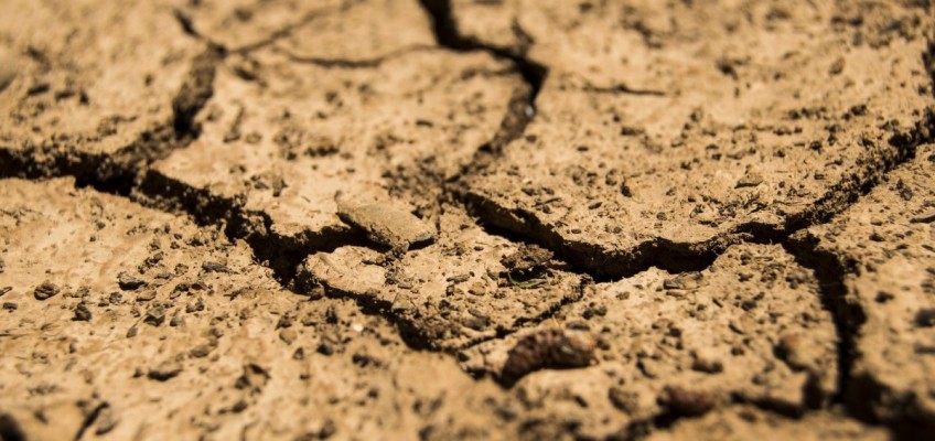 Malawi under serious drought conditions