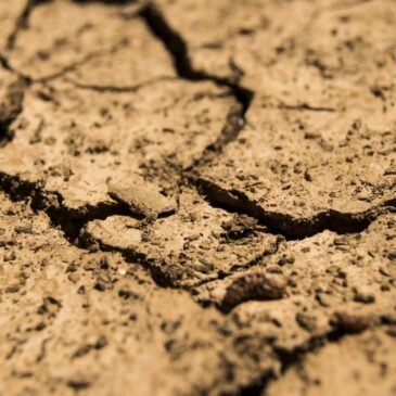 Malawi under serious drought conditions
